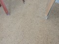 Tn DSC 9902